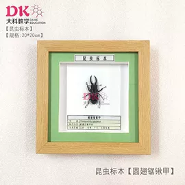 生物教学器材;教学仪器;实验室仪器