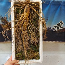 ���һ����r�� �����g����߅�l���L��ɽ�˅� Ҏ��ȫ���նYƷ�r��