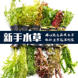 ~בˮֲﵭˮoݸ쾰ˮк󾰳ľײ