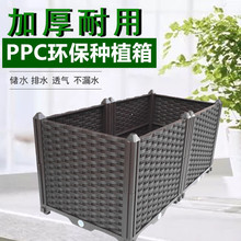 ��픑����̨�Nֲ���ͥ¶̨�߲˷N���軨�ۻ���ˈ@�����܉�����