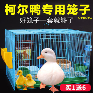 ���ӻ\�����ش�̖����С�û\���m�i�\С��\��؈�\�҃Ȏ������û\