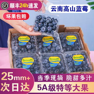 ����{ݮ�r�������{ݮ���w���rˮ���߶��س��������������\�Y��