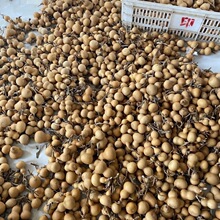 ���J����С���J����С���J�ְѼ��������^С���Jͨ؛���l�ԉ�����