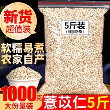��޲�������F���r��Ŵ޲��������������s�Z�����Ҝ���С���t����