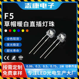 f5草帽发光二极管灯珠 5mm暖白大光杯0.5w高亮白光led直插灯珠