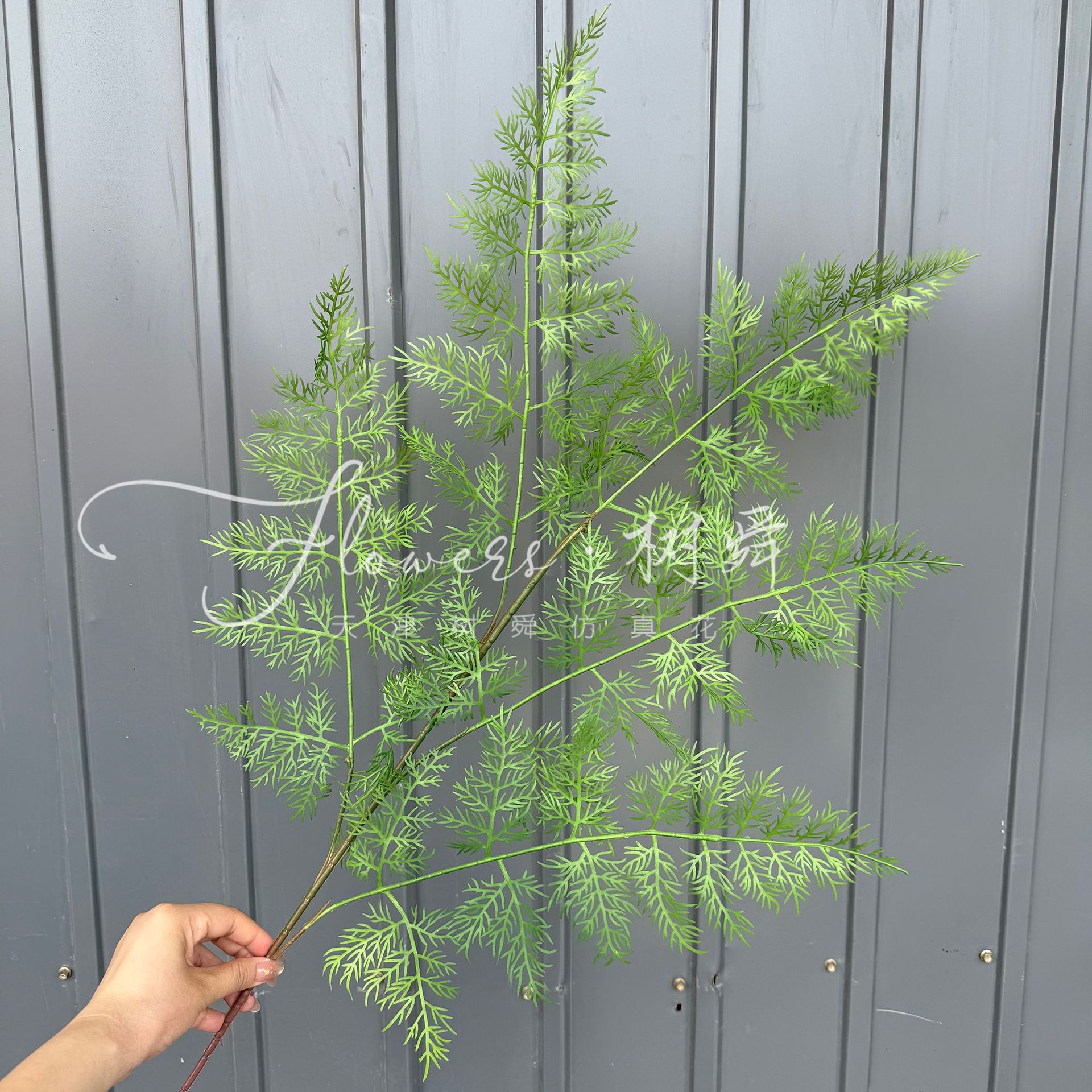 Abeto de ramificación alta y verde degradado de bambú