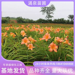 ��������n���ͺ����ܽ�����������������lͥԺ�G����Gֲ����