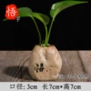 [大石头【悟】]