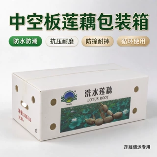 钙塑中空板莲藕箱防水防潮防霉易清洁生鲜蔬菜抗压运输包装箱