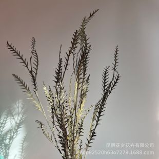 ���W���s�������r�~�Ą��X�~�Ҿ�ܛ�b�b����ֹ�diy����