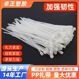 束线带;绳索、扎带;线束扎带