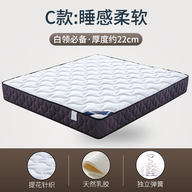 전용 모델 독립 스프링 라텍스 20cm