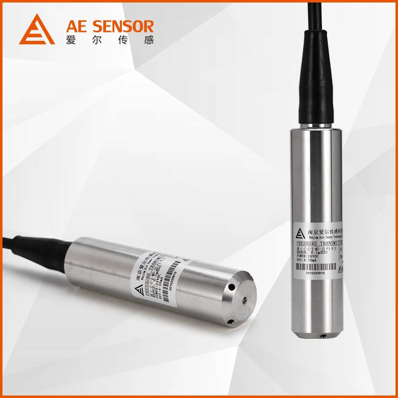 Irly AE-L input-type liquid level transmitter 4-20MA static pressure hydraulic tank stainless steel water tank liquid level probe
