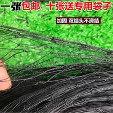 单层加粗高柔软套蛇尼龙网蛇袋网防蛇尼龙网黑色渔网强丝粘网