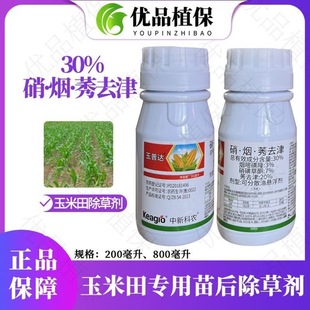 �����_30%���ǲ�ͪ���׻�¡ݬȥ��������һ�����s����Ʒ���݄�