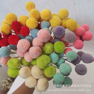 �S����������l�����������ɻ��滨���r��diy�����仨��ݼҾ��b