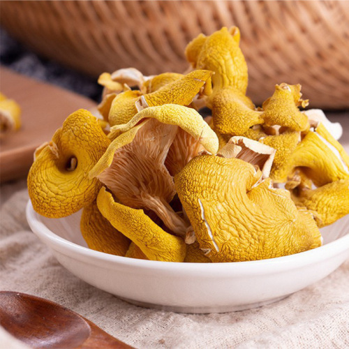 Dry chanterelles Yunnan specialty mushrooms fresh edible mushrooms bulk bagged wholesale source factory