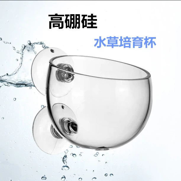 Кубок Аква Трава Выращивания Аква Трава Горшок Кормление Пейзаж Делая Бассейн Хрустальное Стекло Кормление Пейзаж Делая Чашку Кубок Аква Трава
