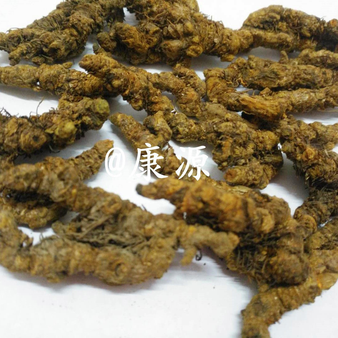 【康源】专业批发黄连500g价格黄莲单支黄连四川单支黄连优质货源