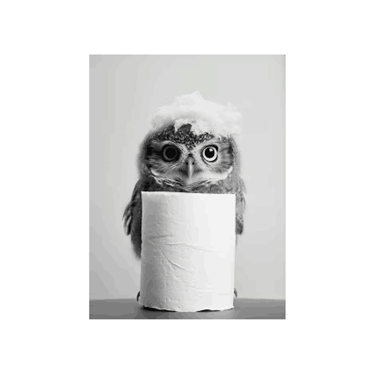 Negro y blanco adorables animales con papel higiénico póster búho perro lienzo pintura de pared arte baño sala de estar decoración del hogar