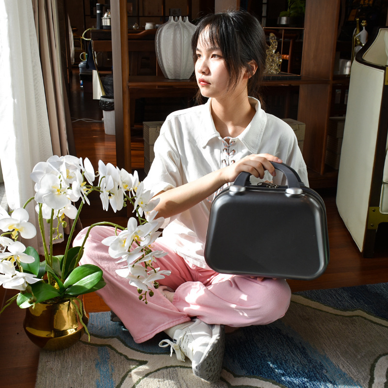 Estuche cosmético japonés con regalo portátil mini maleta de 14 pulgadas para mujer que puede colgar equipaje