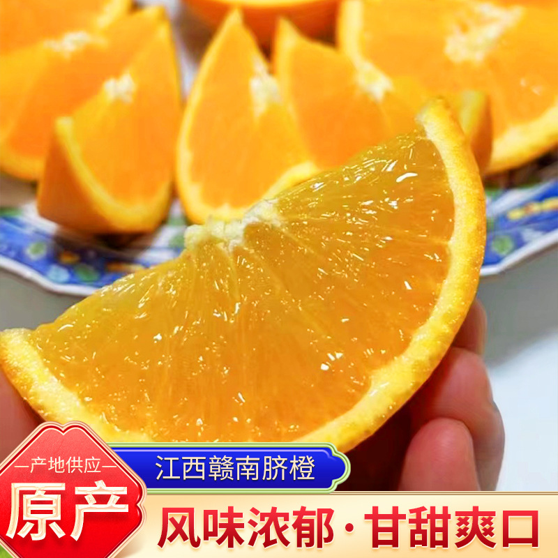 江西正宗赣南脐橙新鲜当季水果产地直发应季橙子现摘甜橙脐橙批发