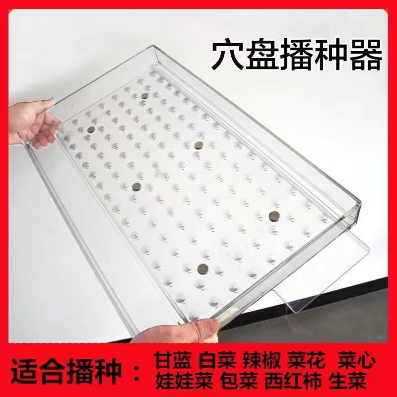 播种器辣椒加厚播种新款压孔器育苗盘播种器多功能漂浮育苗盘|undefined