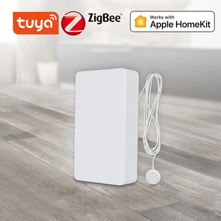 Graffiti Smart Zigbee HomeKit Water Leak Alarm WiFi Wireless Soak Detector WiFi Water