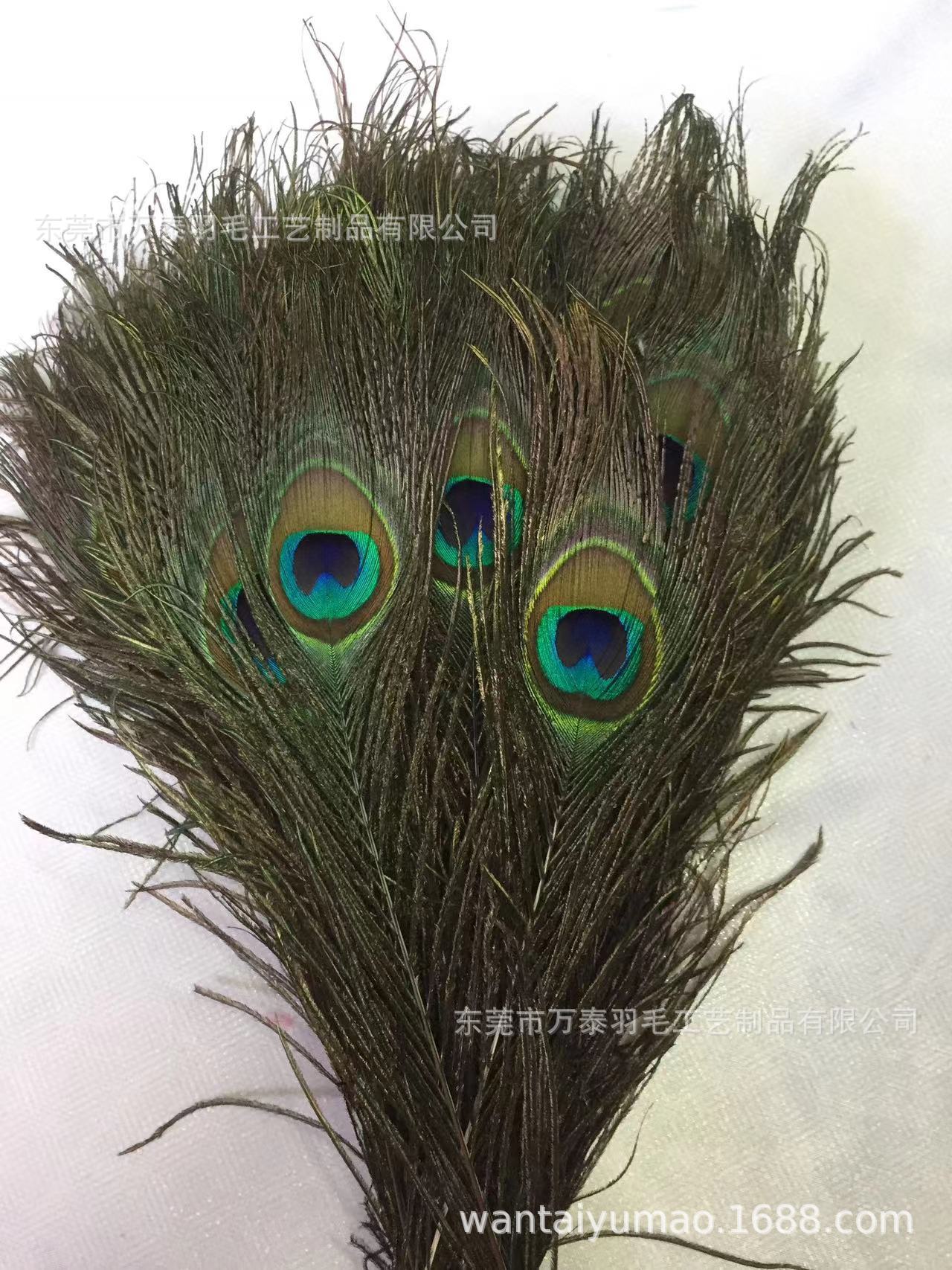 微信图片_20230216170719.jpg