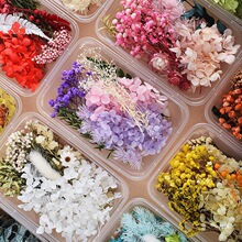 �ɻ�diy���ϰ����F�ȸ���ƿ������diy�����׃��@�廨�b��ֹ�