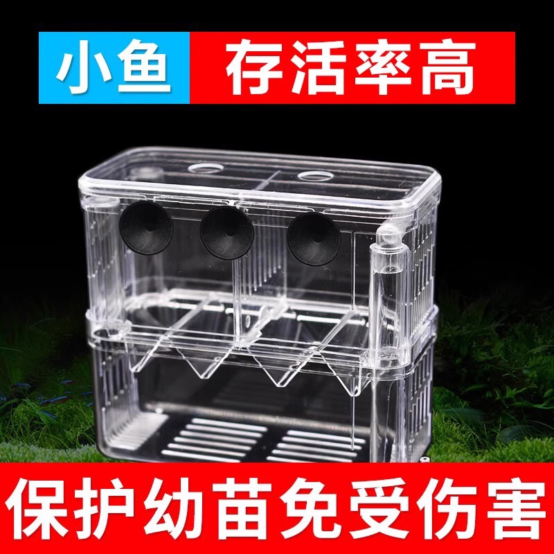Fish Tank Isolation Box Guppy Breeding Box Turtle Fish Zebra Fish Acrylic Fry Isolation Warehouse Isolation Wholesale