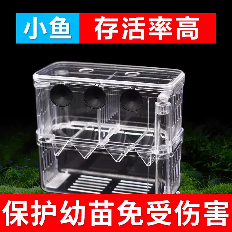 鱼缸隔离盒孔雀鱼繁殖盒乌龟小鱼斑马鱼亚力克鱼苗隔离仓隔离批发
