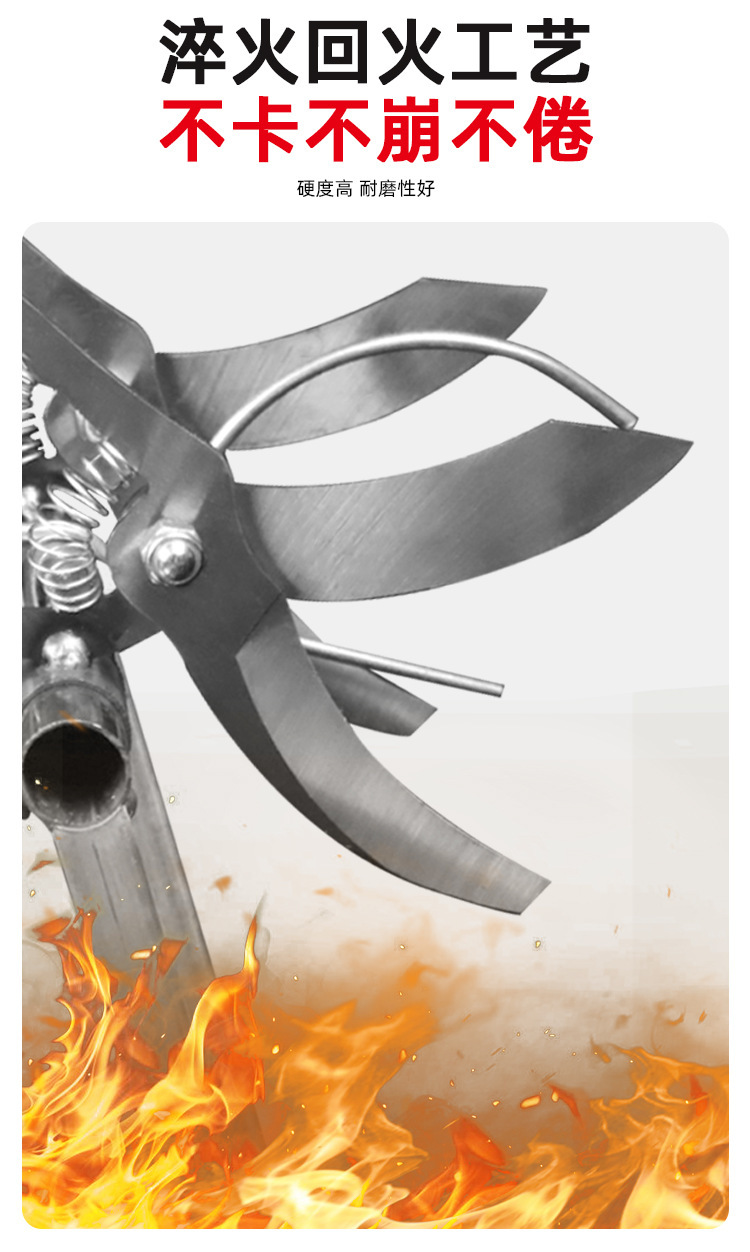 O1CN01BrUOaO1MMrZ4Zh6n4_!!4070