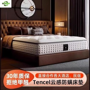Modern Simmons Mattress Silent Hotel Same Style Fashionable Thickened Mattress Soft and Hard Spine Protection Super Soft Latex Mattress