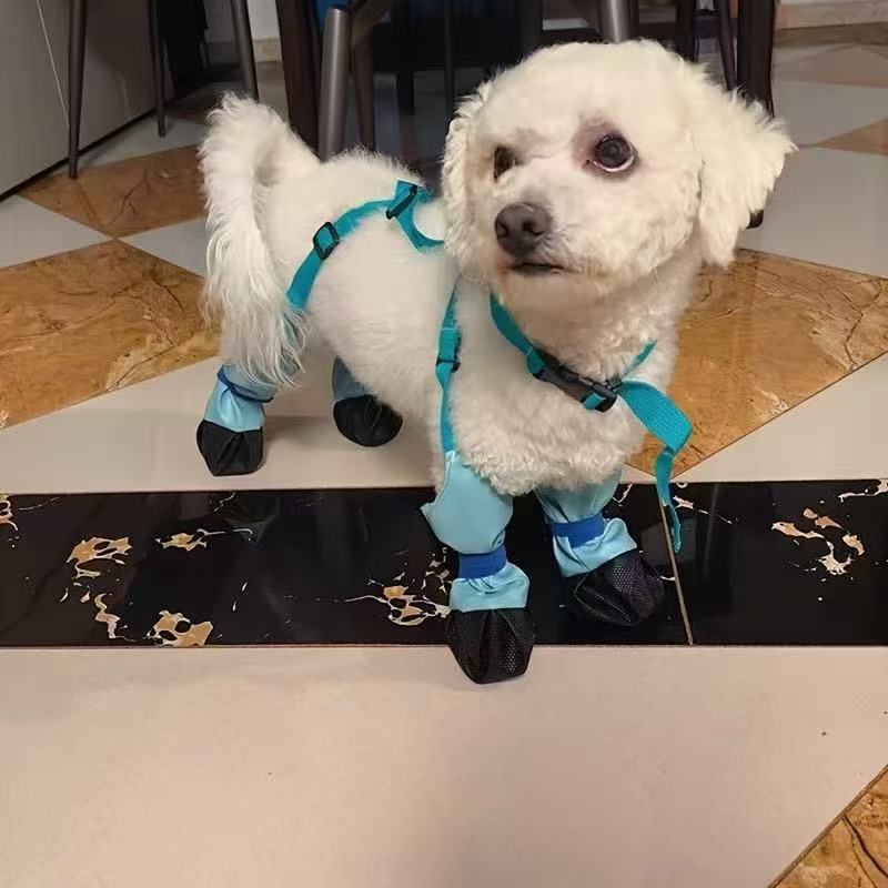 파란색
