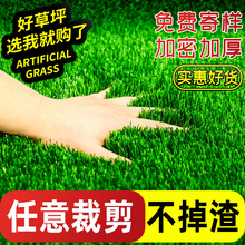 �����ƺ��̺�����˹��ٲ�Ƥ�Gɫ�׃��@�����b����ω|���̨ͥԺ