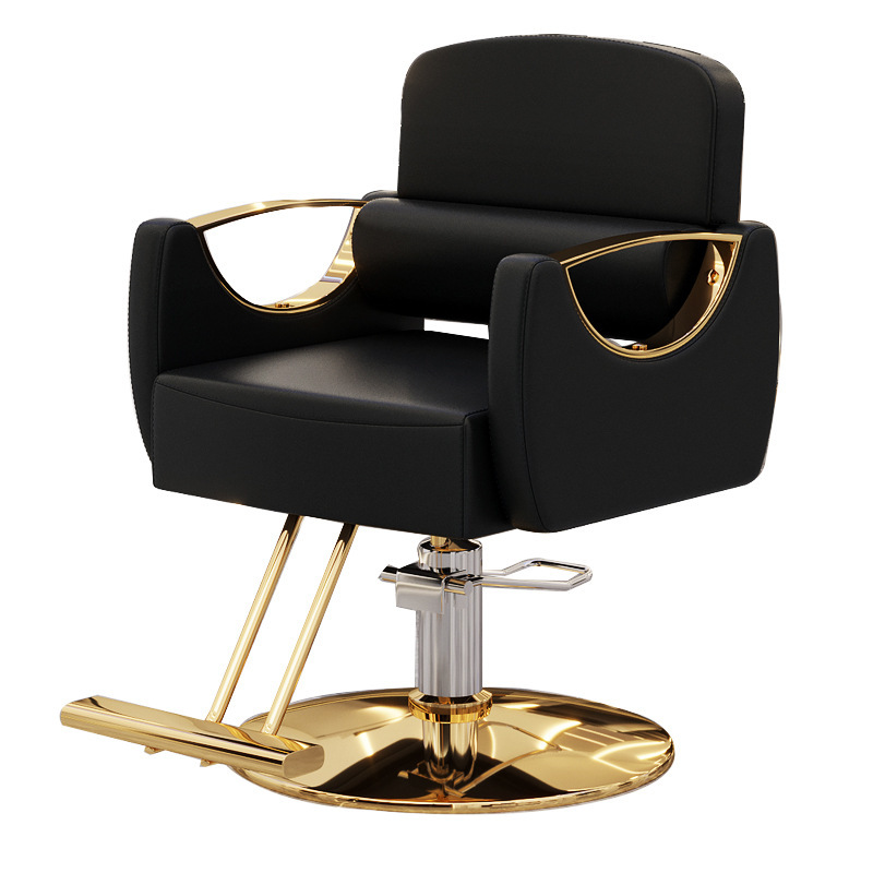 La misma silla de corte de pelo de la peluquería, el reposabrazos de acero inoxidable, la silla de permanente se puede levantar y bajar, la silla de peluquería, el pedal de acero inoxidable cruza la frontera. image 5