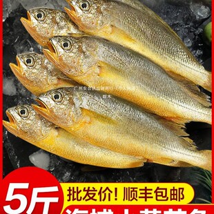 С�S���~���r���5��������S�~���u���r��~���r�����������l