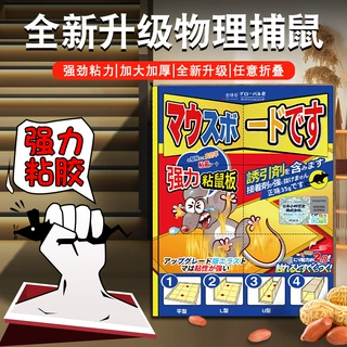 厚款粘鼠板老鼠贴强力粘鼠板厨房正品强力胶粘老鼠一窝端捕鼠