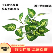 ����ֲ��G�}�٘��~�Y��鷿�����b[��ֲ�����쾰������~