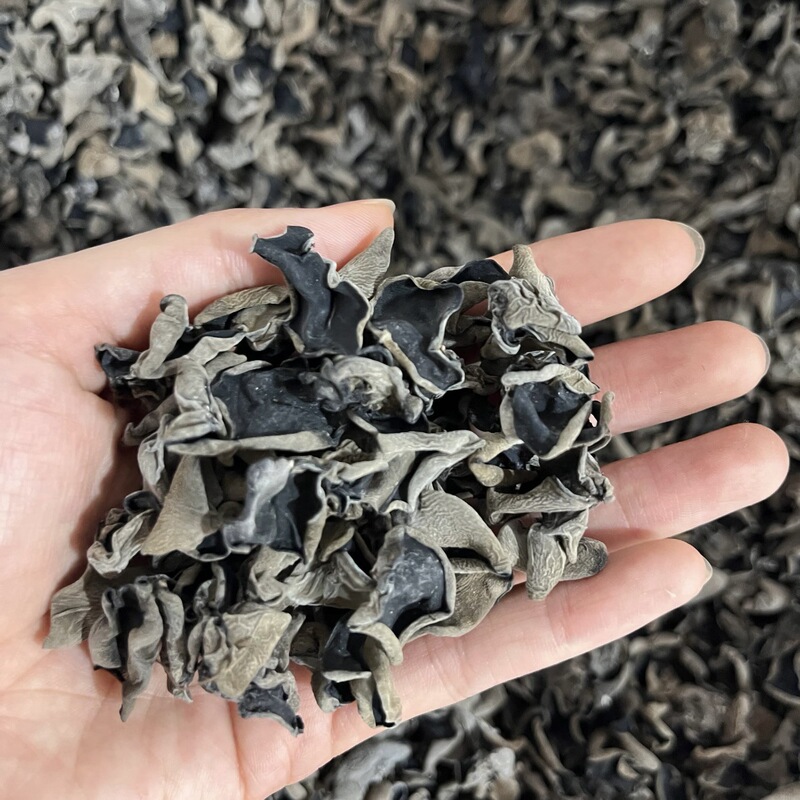 东北木耳一件起批袋装250克散装食用菌干货批發批发晾晒木耳干货|undefined