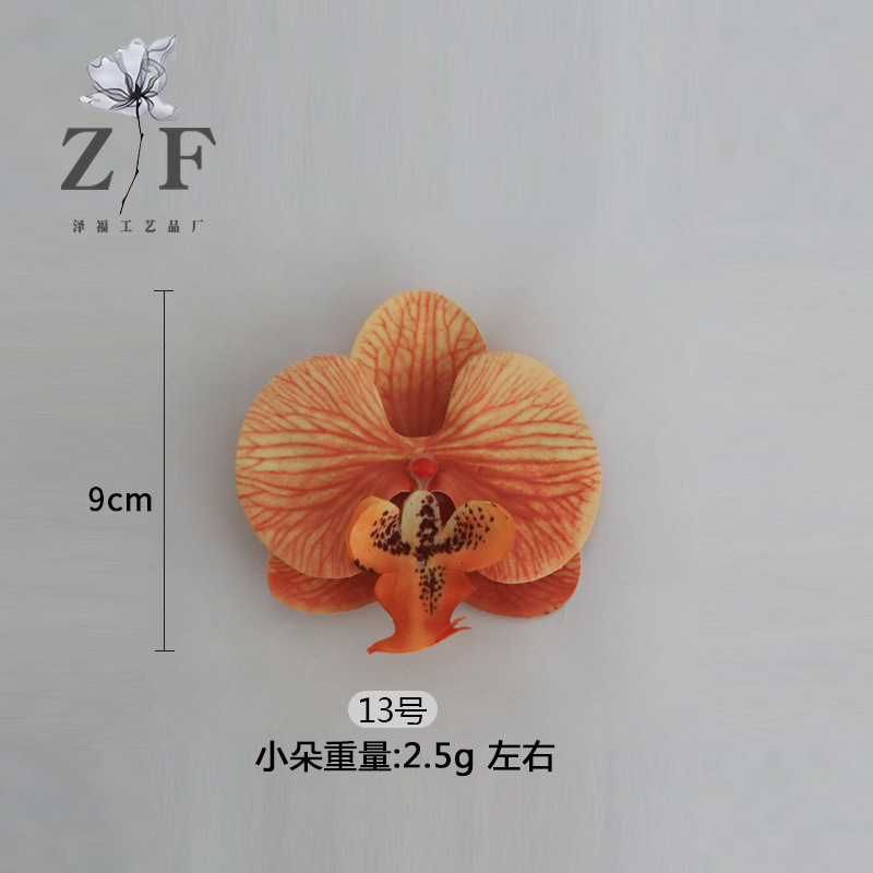 13호(소)