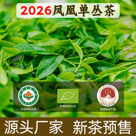 2026 有机春茶 正宗潮州凤凰单丛乌龙茶高耐泡回甘好源头茶厂批发