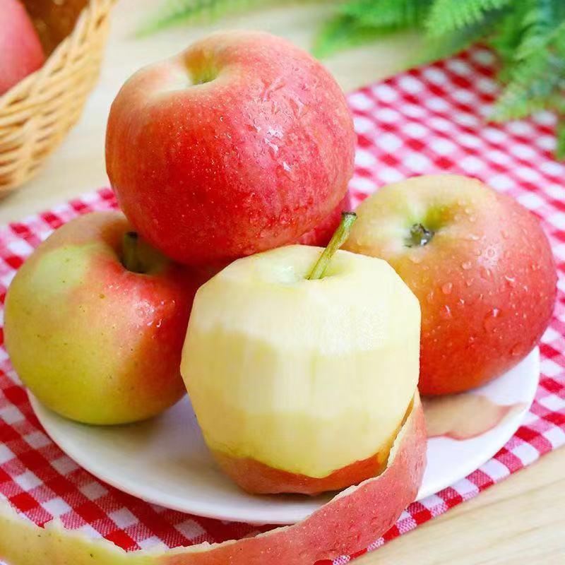 苹果嘎啦脆甜非红富士现摘当季新鲜水果不打蜡整箱水果批发包邮