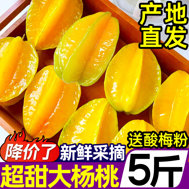 福建漳州甜杨桃5斤大果当季新鲜水果下河树上熟洋桃红阳桃整箱