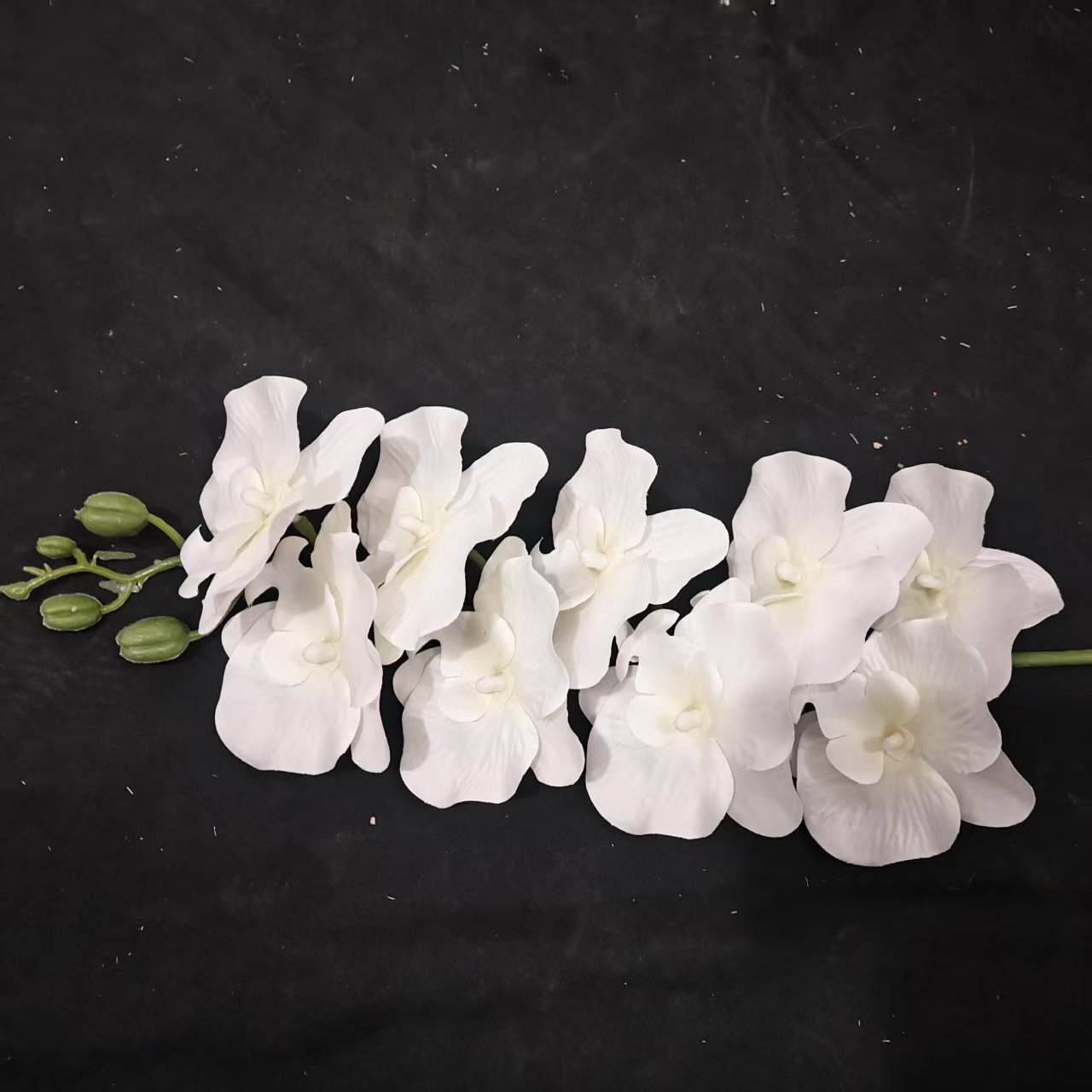 하얀색