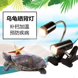 Tortoise sun backlight heating lamp to promote calcium absorption sun lamp sun turtle lamp uvb lamp turtle tank uva full spectrum