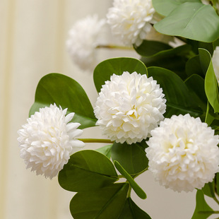 ?���Gֲ��֧���l�Ҿ����Ҵ��^���k�������쾰�b�