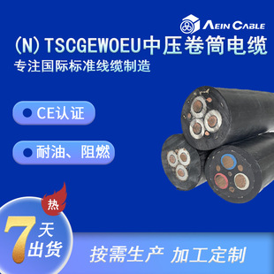 �S�ҹ����W���Љ���Ͳ��|  (N)TSCGEWOEU�����w��ȼ�V�����z��|