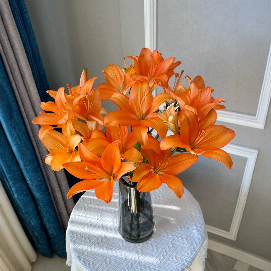 顺丰冷链精选橙色亚百合鲜花家用水培切花云南昆明直发